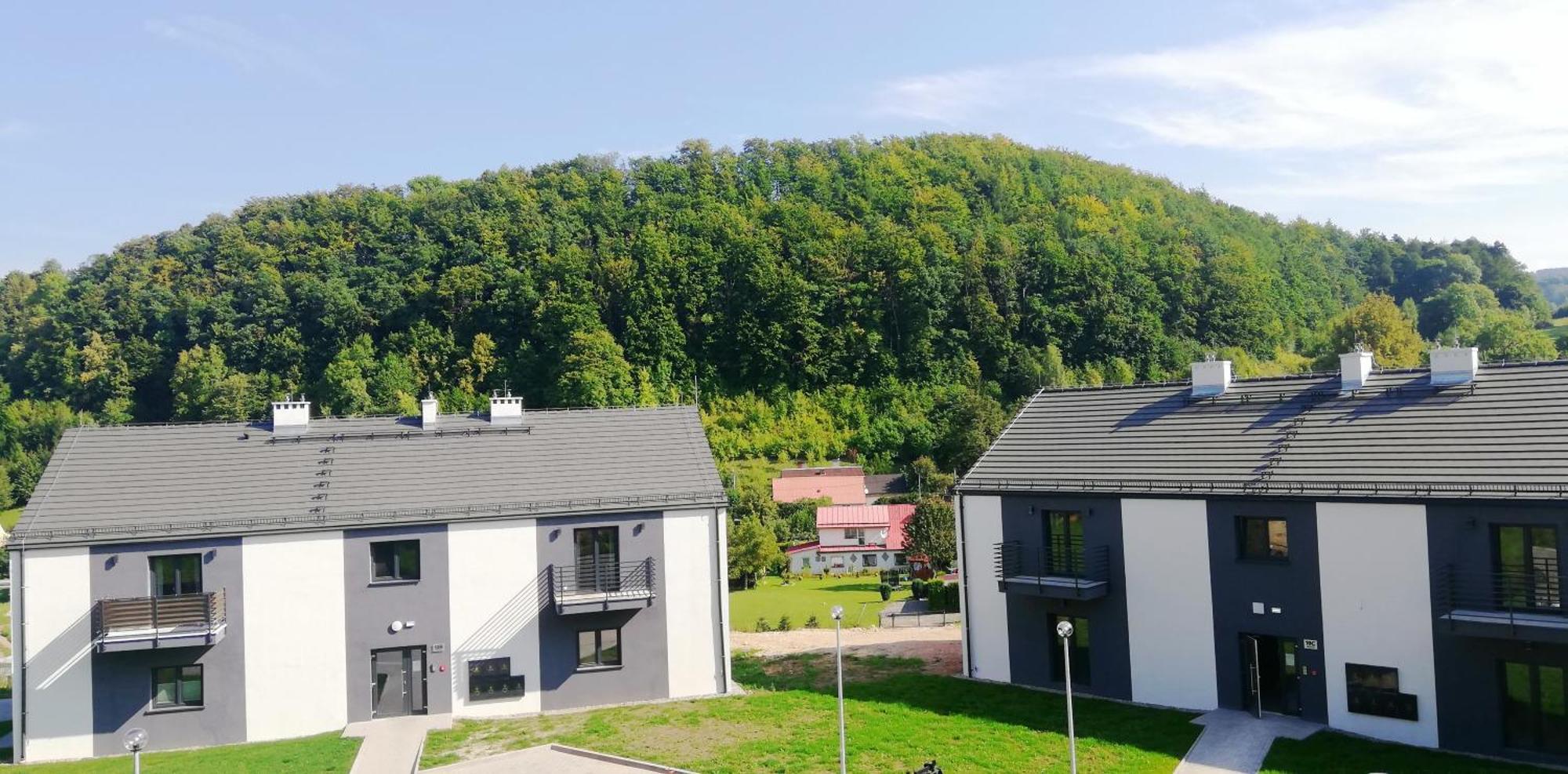 Apartment Roku 2025 !! Spa & Relax Jelen & Natura Kudowa Zdroj Exterior photo
